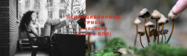 СК Абинск