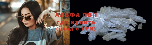спиды Абаза